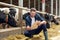 Farmer with clipboard and cows in cowshed on farm