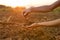 Farmer collect soil and pouring to another hand