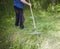 Farmer collects rake grass in spring