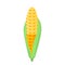 Farmer corn icon, isometric style