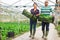 Farmer couple holding crates with lettuce and celery