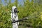 Farmer in Coveralls With Gas Mask Spraying Orchard