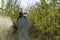 Farmer in Coveralls With Gas Mask Spraying Orchard With Atomizer Sprayer