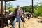 farmer cowboy at cow farm ranch