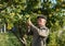 Farmer cropping quinces