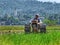 A FARMER cultivating a field with a modern plow before the planting season arrives in the rice fields around Rawa Pening