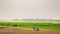 Farmer cultivating field with tractor in winter seasons.