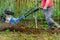 Farmer cultivating the garden with a motor plow