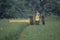 Farmer cutting hay field