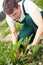 Farmer cutting zucchini