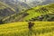 Farmer and daughter Going out to do in the morning, the Vietnamese rice terraces.