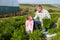 Farmer With Daughter Harvesting Organic Carrot Crop On Farm