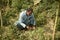 Farmer digging out turmeric from the farm field