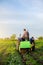 Farmer digs out of potatoes on a farm field. Harvest first potatoes in early spring. Farming and farmland. Agro industry