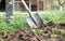 Farmer digs soil with shovel in garden