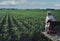 Farmer with dog at cornfield