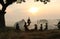 Farmer doing harvest ceremony in rice field with elephants