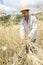 Farmer doing traditional wheat harvest in Greece.