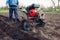 Farmer driving small tractor for soil cultivation and potato planting. Spring preparation