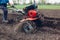 Farmer driving small tractor for soil cultivation and potato planting. Spring preparation. Outdoor work