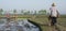 A Farmer driving a wheelbarrow at narrow pass away in rice farm