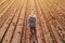 Farmer with drone remote controller in soybean field, aerial view