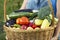 Farmer with an ecological harvest of vegetables in a basket near the garden in summer