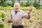 Farmer elderly man with beard holds fresh potatoes in hands. Eco vegetables concept