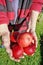 Farmer elderly woman holding ripe big red apples in hands.