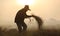 Farmer and elephants at rice field doing harvest