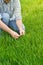 Farmer Examines and Controls Young Wheat Cultivation Field