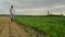 Farmer Examines and Controls Young Wheat Cultivation Field, Crop Protection Concept