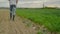 Farmer Examines and Controls Young Wheat Cultivation Field, Crop Protection Concept
