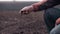 Farmer examing natural organic soil. Plowed field background