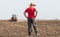 Farmer examing planted wheat fields