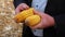 Farmer examining fresh, harvested corn cobs. Close-up. Slow motion