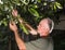 Farmer examining fresh walnut