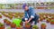 Farmer examining plants on farm.