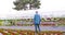 Farmer examining plants on farm.