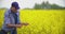 Farmer Examining And Smelling Rapeseed Blossom At Field