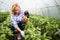 Farmer family picking organic vegetables in garden