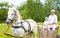 Farmer family riding a horse cart. focus on horse