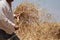 The farmer fanning wheat