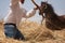 The farmer fanning wheat separating the wheat from the chaff