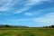 Farmer farms green yellow rice blue skies
