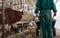 Farmer with feed for cows in wheelbarrow