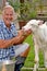 Farmer feeding a baby white cow