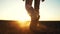 farmer feet walks across a black field. agriculture business concept. silhouette of a farmer feet at sunset walking