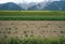 Farmer fertilizing fields with tractor in the Austrian Alps, Mieminger Plateau, Tyrol, Austria