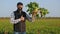 Farmer in the field holds a large ripe sugar beet, thumbs up